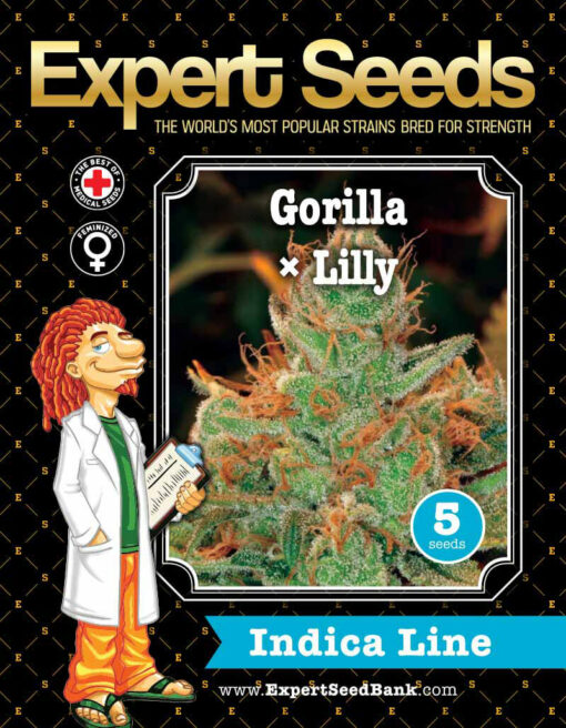 GG4 × Lilly Seeds - Image 2