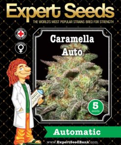 Caramella Auto