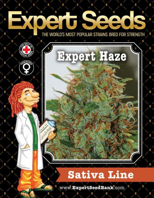 Expert Haze