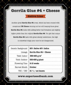 Gorrila Glue #4 × Cheese