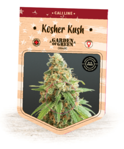 Kosher Kush